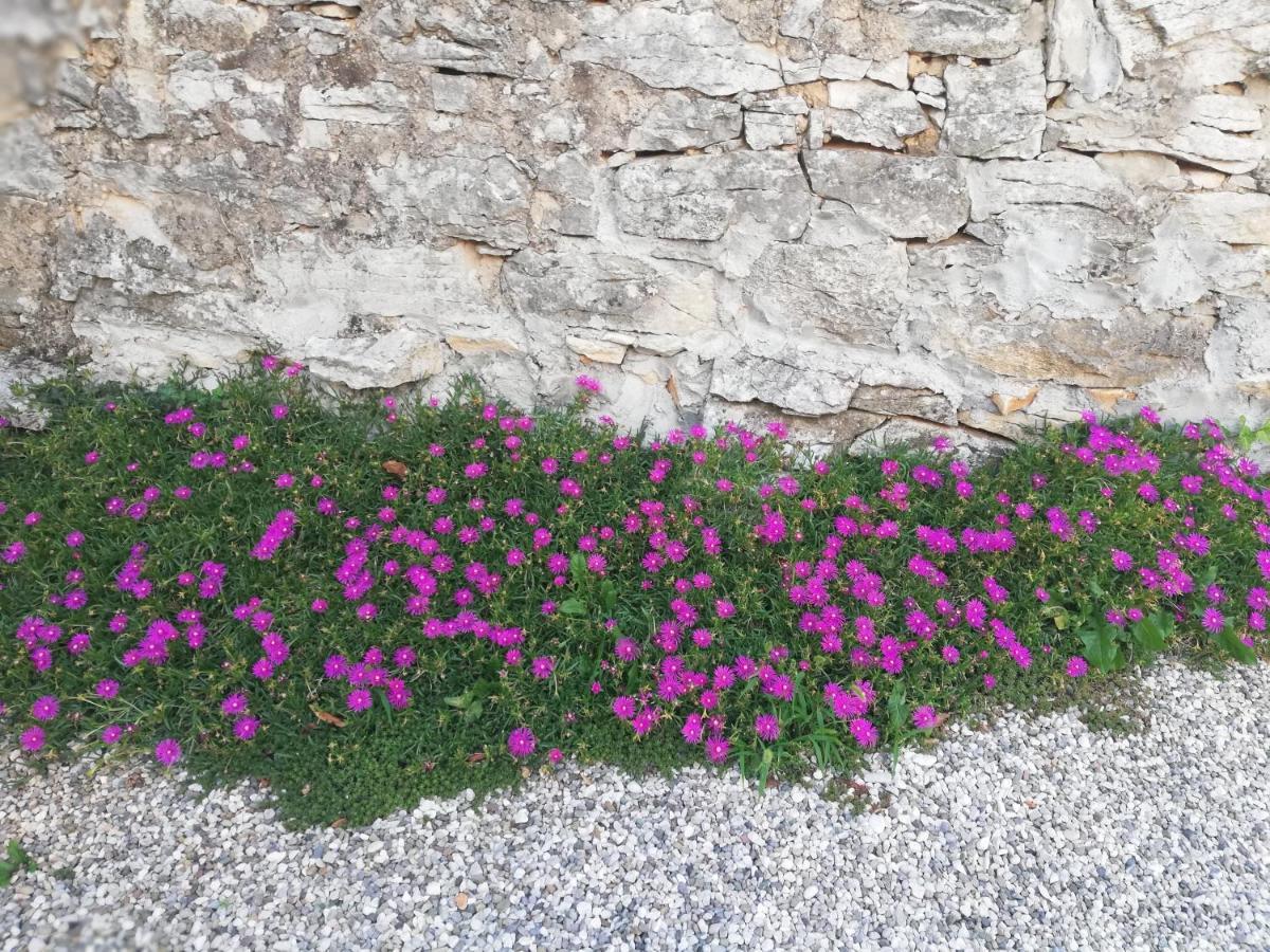 Bed & Breakfast Barbara Borgo Grotta Gigante Exterior photo