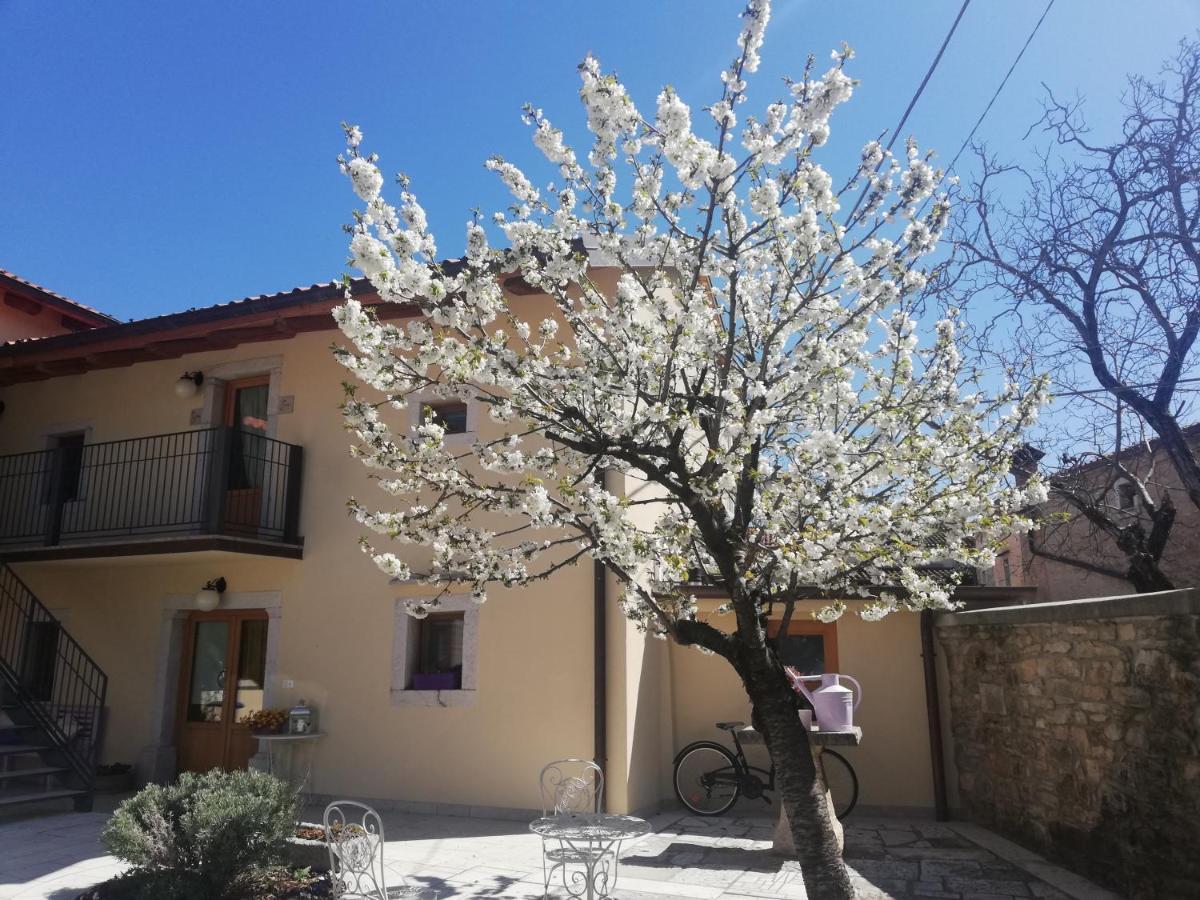 Bed & Breakfast Barbara Borgo Grotta Gigante Exterior photo