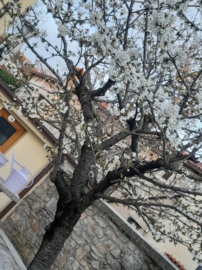 Bed & Breakfast Barbara Borgo Grotta Gigante Exterior photo