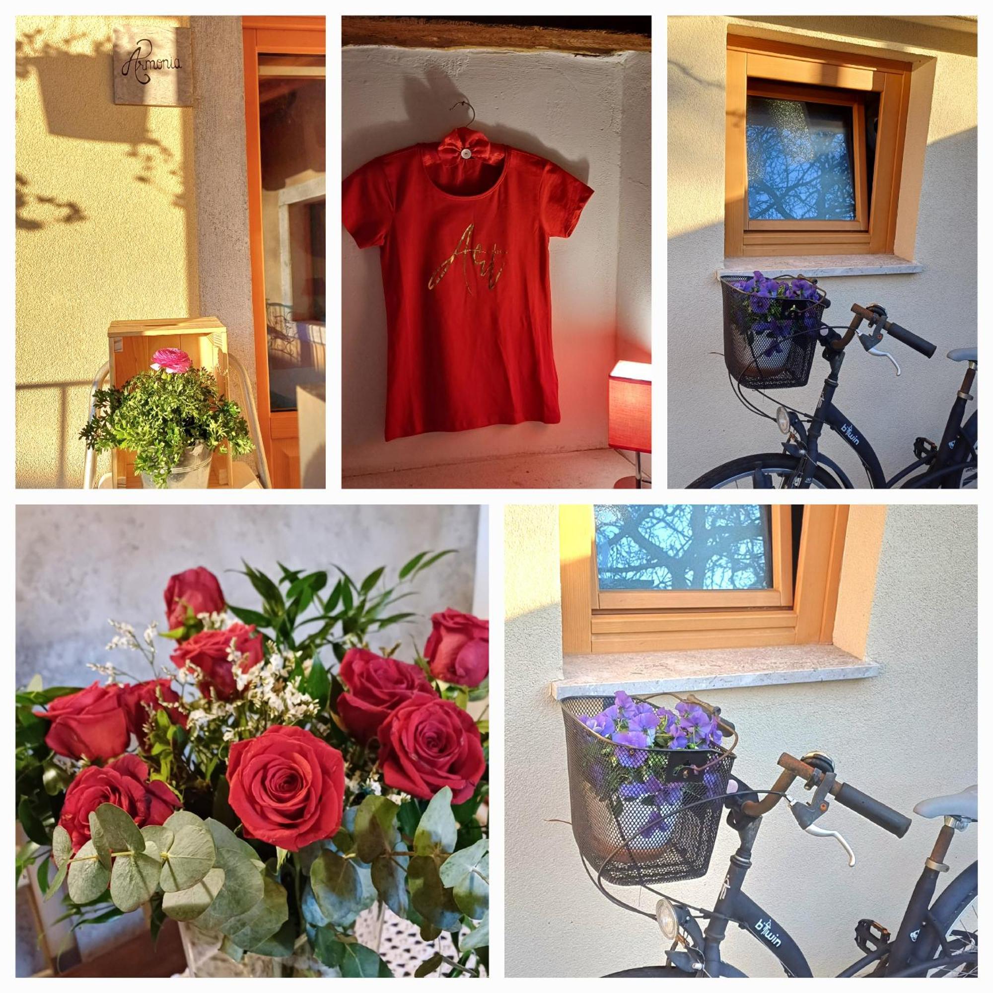 Bed & Breakfast Barbara Borgo Grotta Gigante Exterior photo